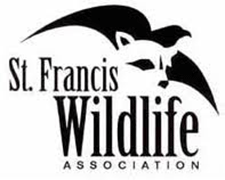 Saint Francis Wildlife Association Logo