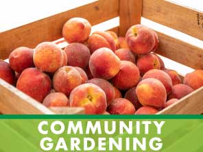 button for community gardening
